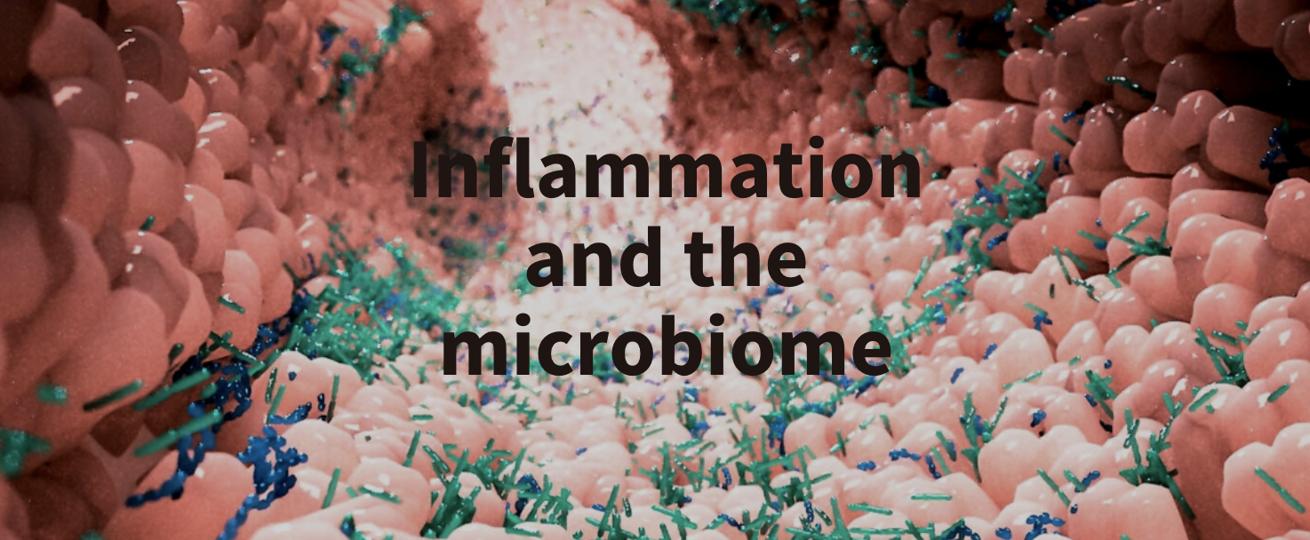 White paper Inflammation and the microbiome